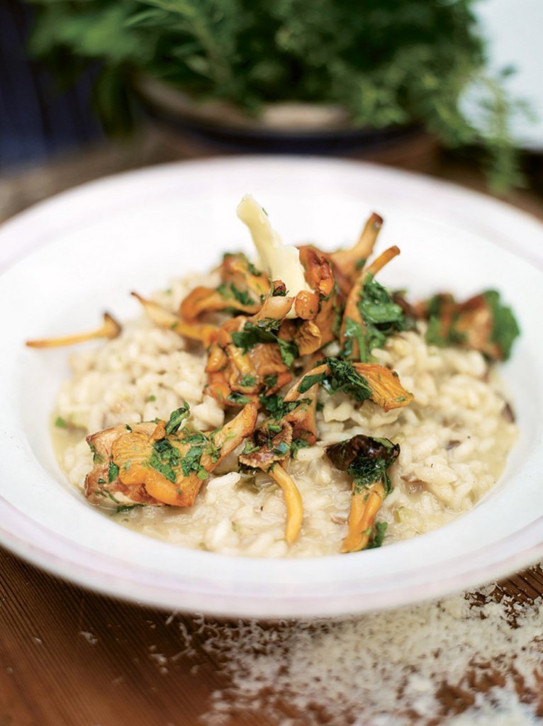 mushroom risotto