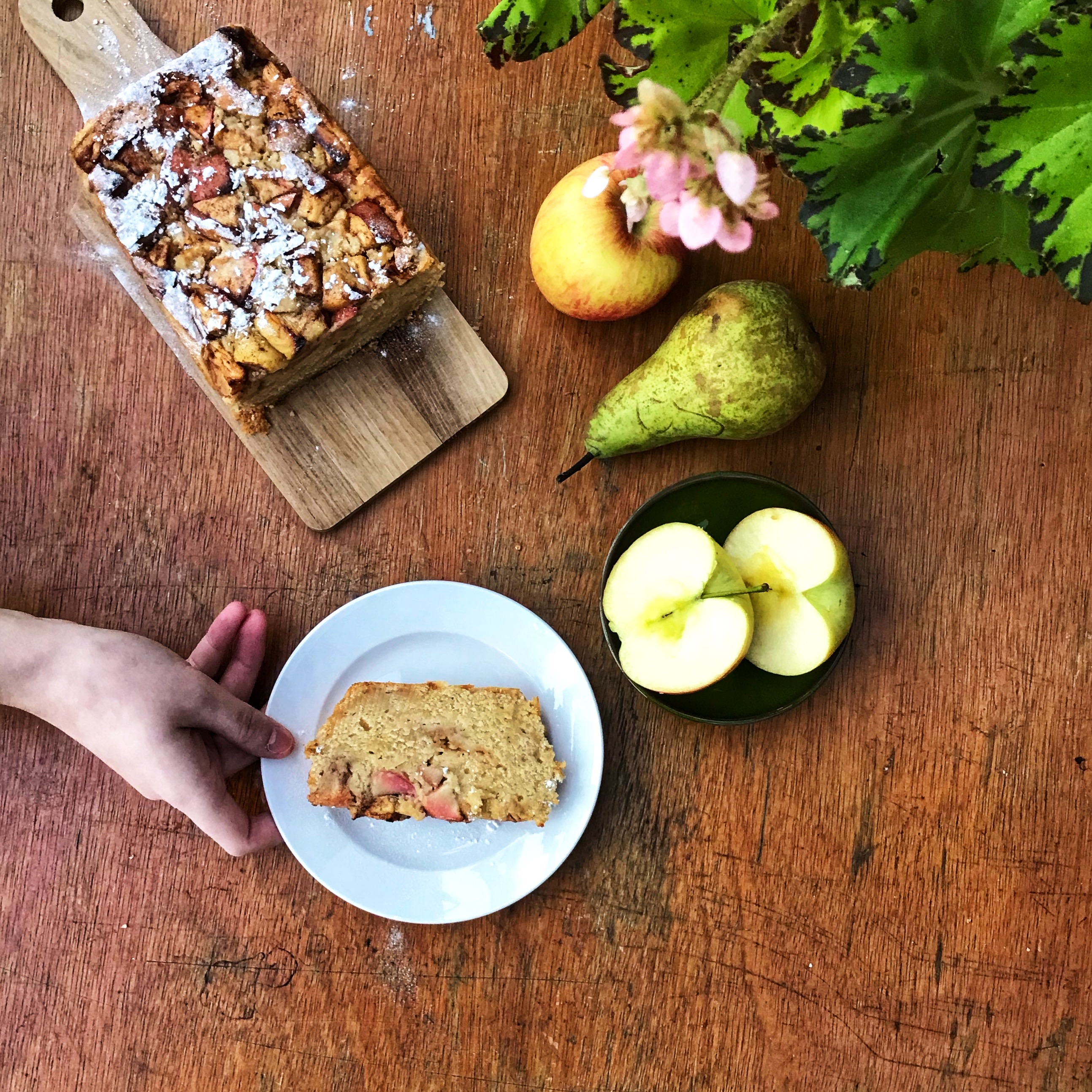 KliekjesCollectief-No-Waste-Cake-Appel